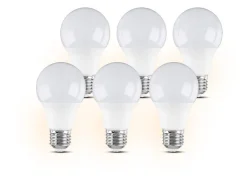 6 LED-lampen