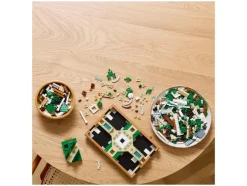 10359 Tuin met fontein