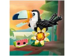 31173 Wilde dieren: tropische toekan