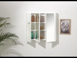 Badkamer spiegelkast