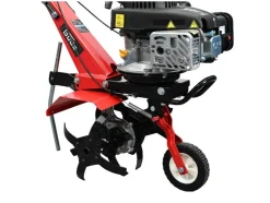 Benzine tuinfrees GF 2436.1