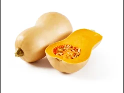 Bio flespompoen of hokkaido pompoen