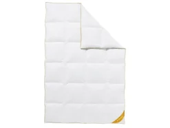 deLuxe carré ganzendonzen dekbed Gold-Edition warm