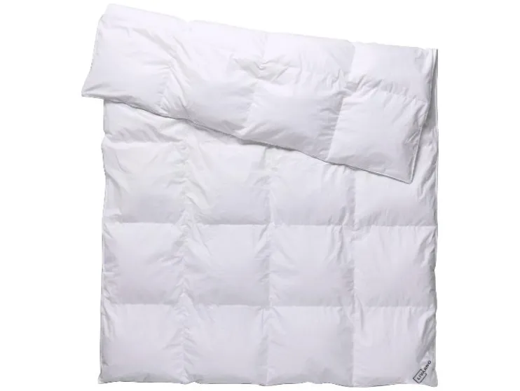 Donzen dekbed 200 x 200 cm