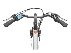 E-bike City multitalent wit RC835 28"
