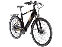 Elektrische fiets trekking Z810 700c