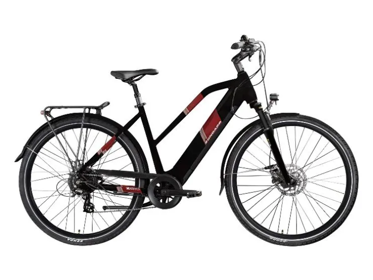 Elektrische fiets trekking Z810 700c
