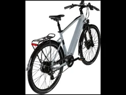 Elektrische fiets trekking Z810 700c