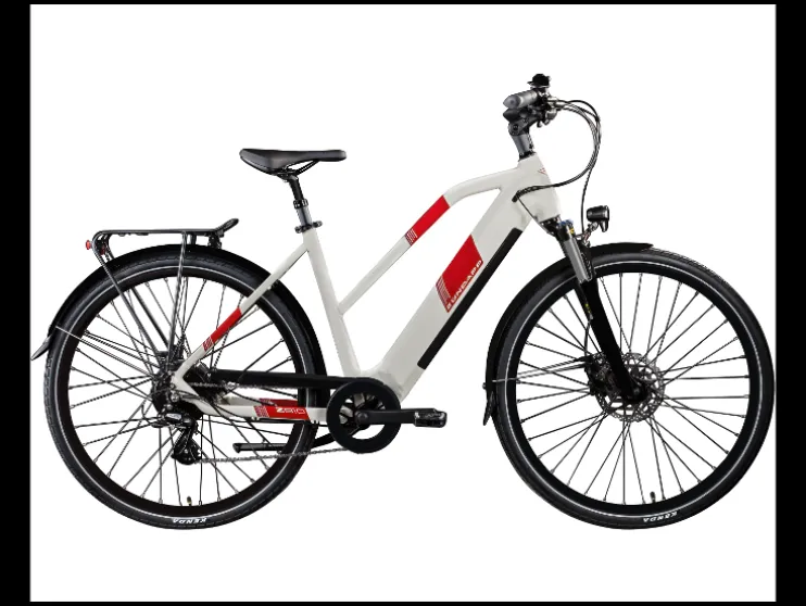 Elektrische fiets trekking Z810 700c