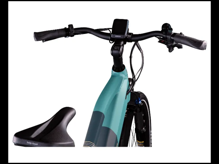 Elektrische fiets trekking Z810 700c