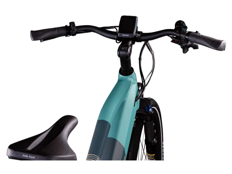 Elektrische fiets trekking Z810 700c