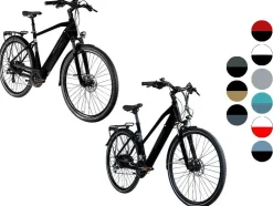 Elektrische fiets trekking Z810 700c