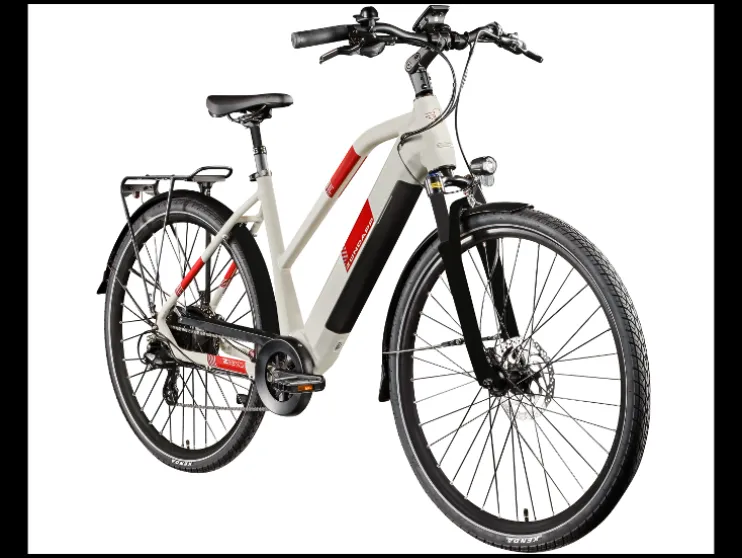 Elektrische fiets trekking Z810 700c
