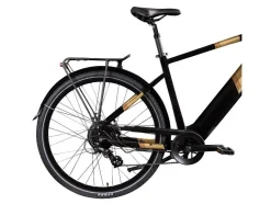 Elektrische fiets trekking Z810 700c