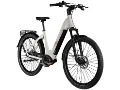 Elektrische fiets X800