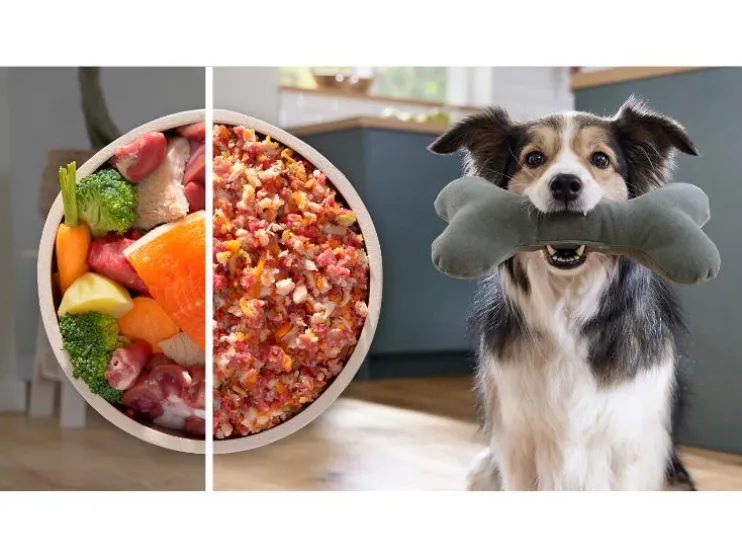 Gehaktmolen MultiPower Serie 6