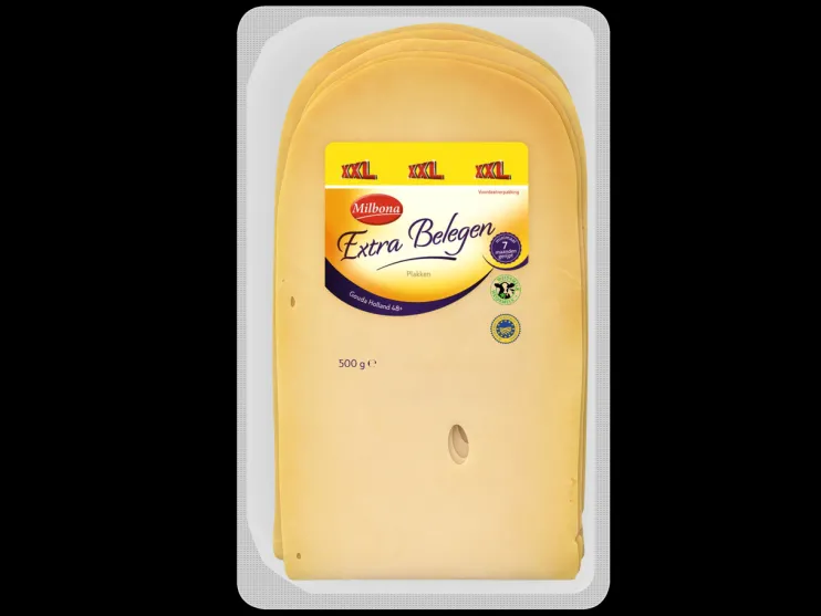 Gouda jong stuk of extra belegen plakken