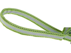 Honden rollijn met LED