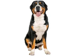 Hondentuigje Supersoft