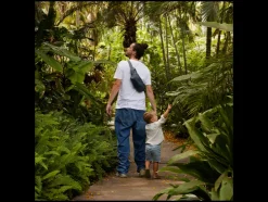 2-in-1 draagzak baby