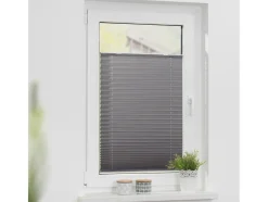 Lichtblick plisségordijn