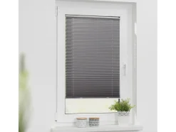 Lichtblick plisségordijn