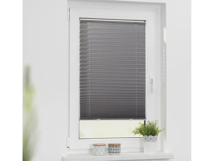 Lichtblick plisségordijn