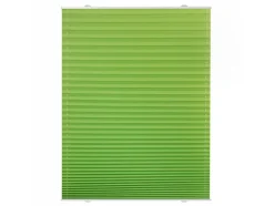 Lichtblick plisségordijn