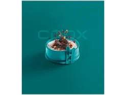 Mini springvorm met glazen bodem Ø 12