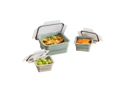 Opvouwbare vershoudbakjes of lunchbox