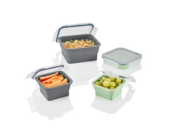 Opvouwbare vershoudbakjes of lunchbox