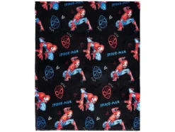 Plaid met kussen Disney