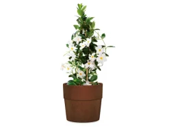 Plantenbak GROOVE PLUS