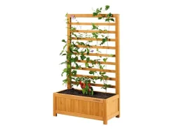 Plantenbak met klimrek
