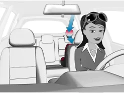 Reer Veiligheidsspiegel