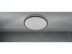 RGB plafondlamp met afstandsbediening