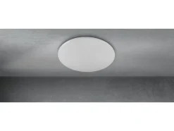 RGB plafondlamp met afstandsbediening