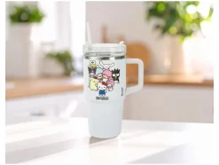 RVS drinkfles 590 ml