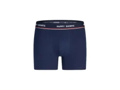 Set van 2 heren kerstboxers