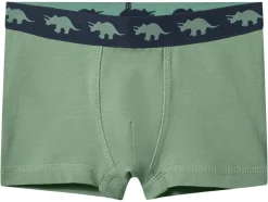 Set van 5 kinder boxers