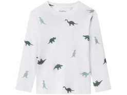 Set van 2 kinder longsleeves