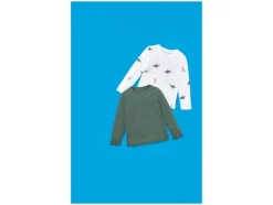 Set van 2 kinder longsleeves