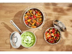 Set van 5 RVS pannen