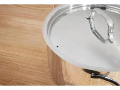 Set van 5 RVS pannen