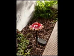 Solar LED-paddenstoel
