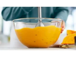 Staafmixer HR2522/00