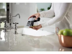 Tapijtreiniger Spot Clean Pet Plus Black Titanium