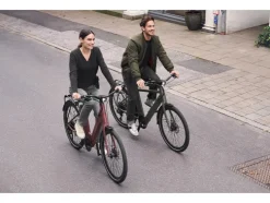 Urban elektrische fiets 3.0 X kettingaandrijving