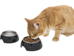 Voer- en drinkbak / schaalmat