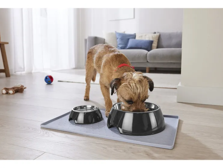 Voer- en drinkbak / schaalmat